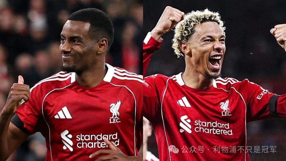 你需要把他 你需要把他